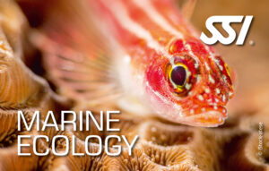 Marine Ecology
