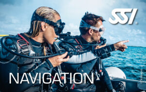 Navigation SSI
