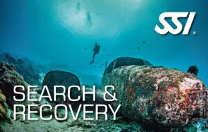 Search & Recovery